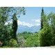 Properties for Sale_Restored Farmhouses _PRESTIGIOUS BED AND BREAKFAST FOR SALE IN LE MARCHE REGION Luxury tourist activity  in between the hills of Italy in Le Marche_23